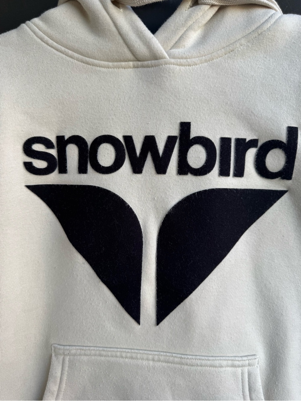 Snowbird ski resort pullover hoodie - Picture 2 of 5